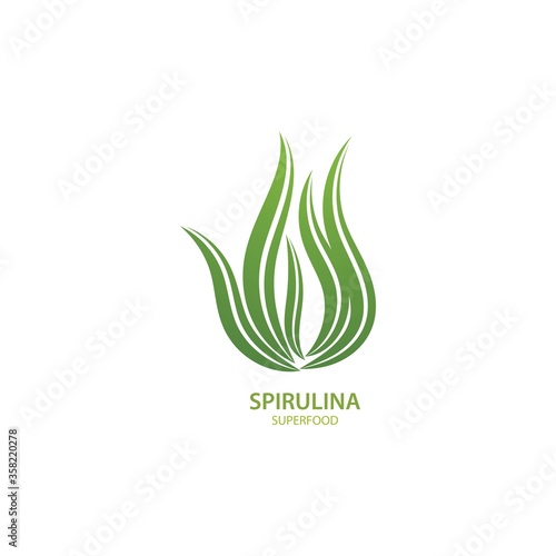 Spirulina seaweed leaf logo illustration