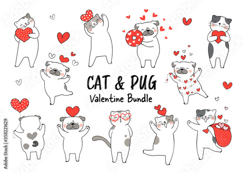 Draw character cat and pug dog fall in love for Valentine day.