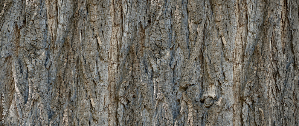 banner of coarse wooden bark pattern for background banner of coarse wooden bark pattern for background