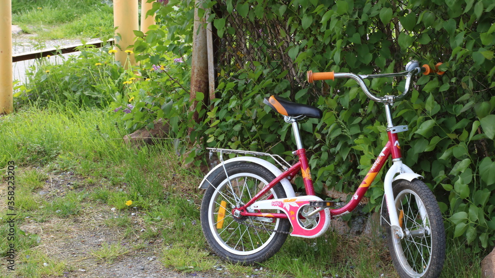 red children bike lonely standing by a green hedge on an empty street