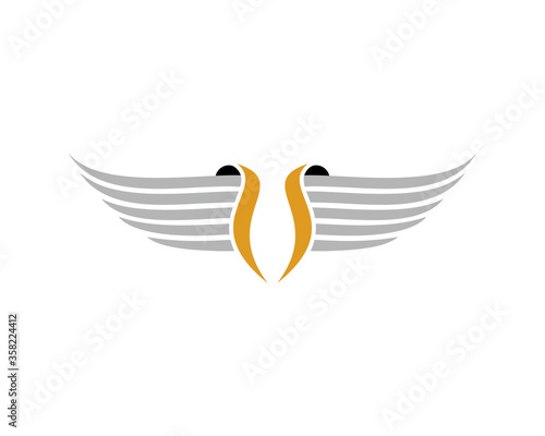 Luxurious wings with golden and silver colors