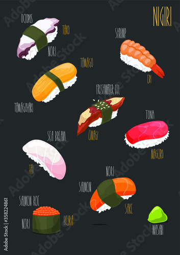 Nigiri Sushi set. Vector illustrations