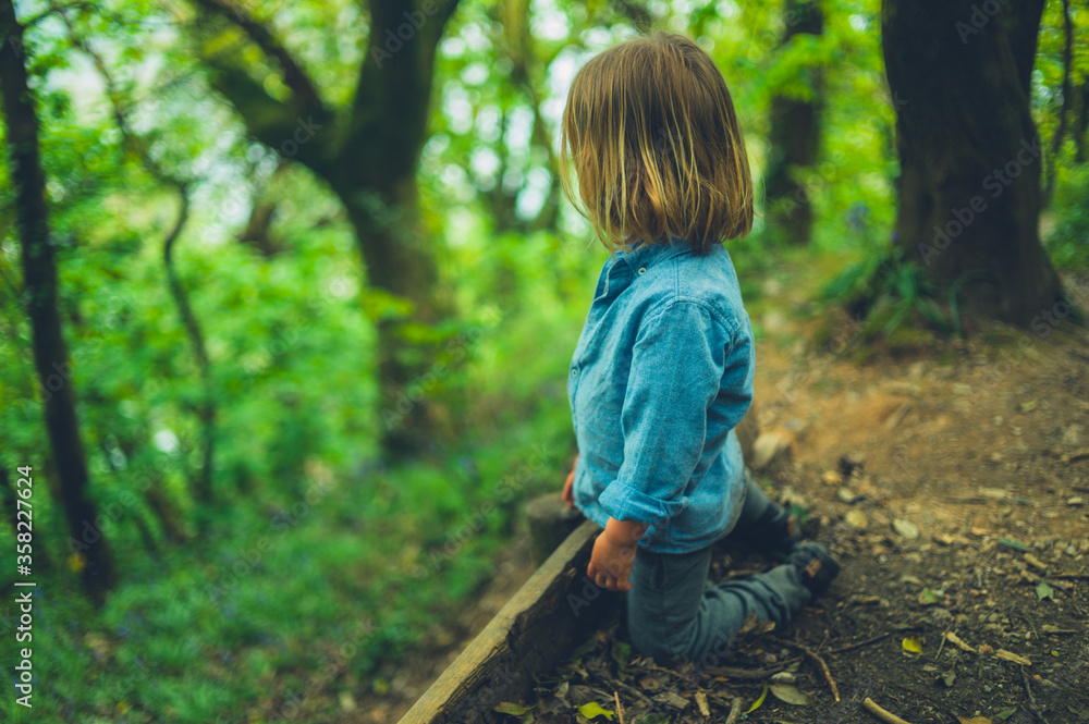 Little preschooler resting in the forest Little preschooler resting in the forest