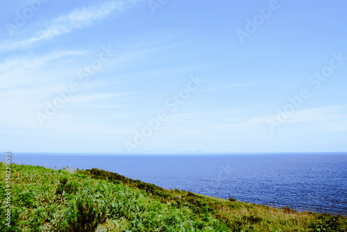 green grass and blue sky with clouds