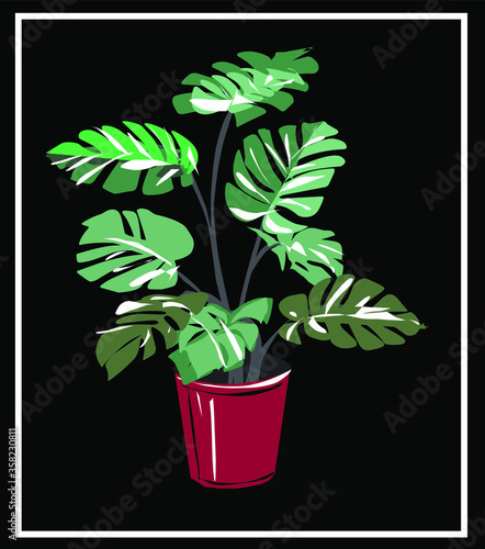 Tropical flower isolated. Can be split and scaled. Exotic Monstera in a ceramic pot. Green indoor, office and house plant. Flat vector isolated drawing on a color background. 