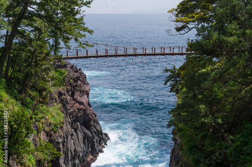 静岡県伊豆半島城ヶ崎の吊り橋 photo