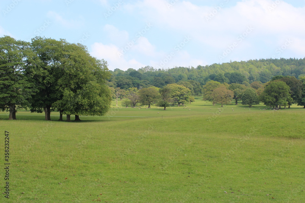 landscape of Chatsworth Gardens and Derbyshire Dales on a beautiful summers day. 