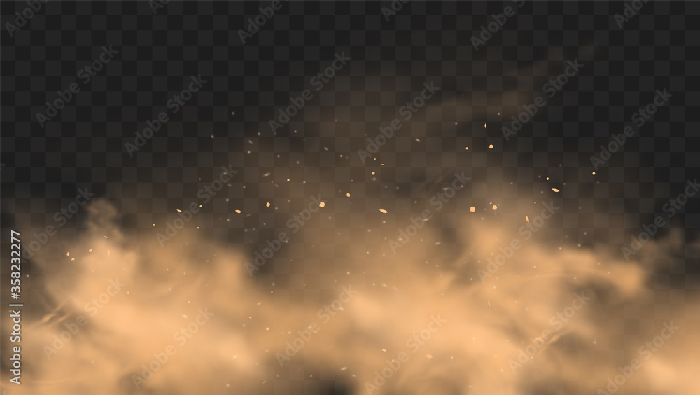 Dust sand cloud with stones and flying dusty particles isolated on transparent background. Desert sandstorm. Realistic vector illustration - obrazy, fototapety, plakaty 