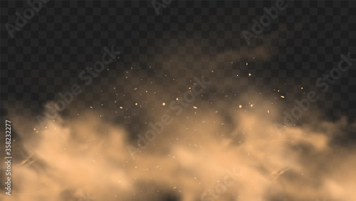 Dust sand cloud with stones and flying dusty particles isolated on transparent background. Desert sandstorm. Realistic vector illustration photo