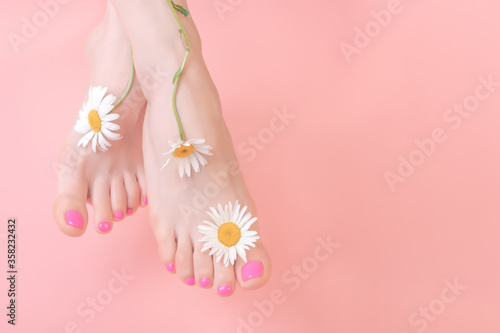beautiful well groomed feet with bright pedicure on a pink background. chamomile flower decoration. spa pedicure skincare concept