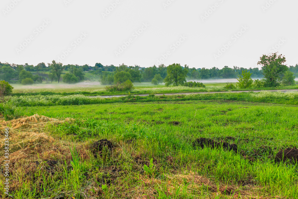 Summer landscape with green misty meadow, trees and sky. Fog on the grassland at morning Summer landscape with green misty meadow, trees and sky. Fog on the grassland at morning