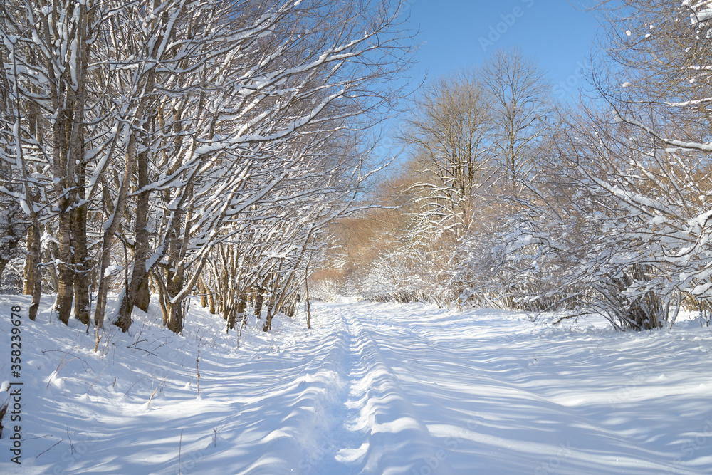 Fototapeta premium Snowy road in a mountain forest.