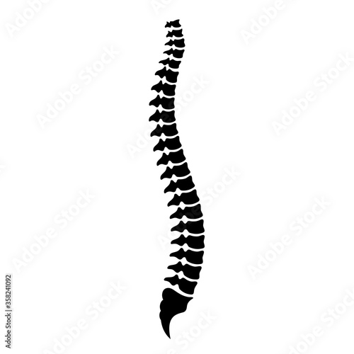Spinal column vector icon