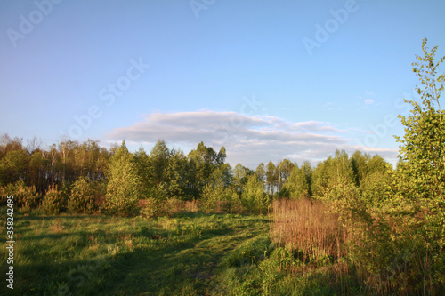 Beautiful summer landscape of nature countryside. Green vegetation of grass and trees with hills. Stock photo for design © subjob