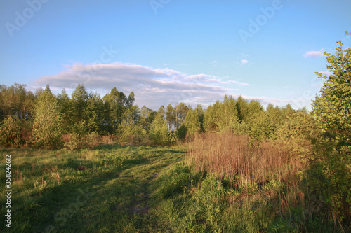 Fototapeta Naklejka Na Ścianę i Meble -  Beautiful summer landscape of nature countryside. Green vegetation of grass and trees with hills. Stock photo for design