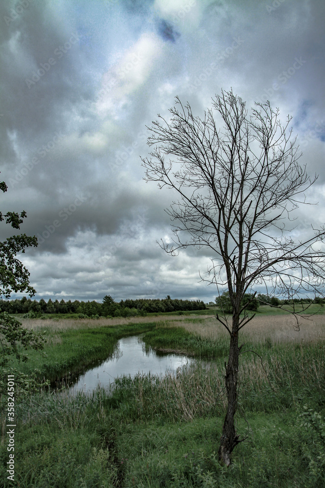 Fototapeta premium Small canal of water. diverts waste to nature polluting nature. Stock photo background
