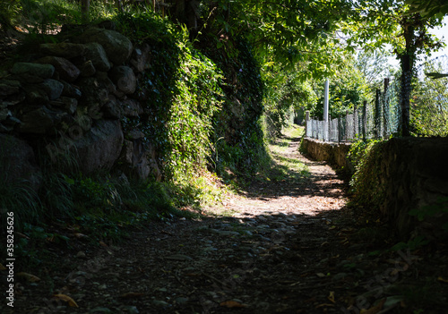 A low mountain path insinuates itself among the plants  to the right it is delimited by a wall with a net. Sunny day with a light breeze that moves the leaves.