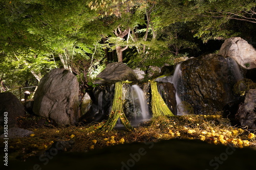 日本庭園風景3