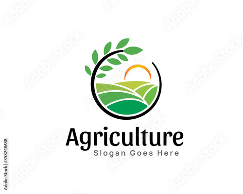 Agriculture wheat rice green farm logo symbol design illustration