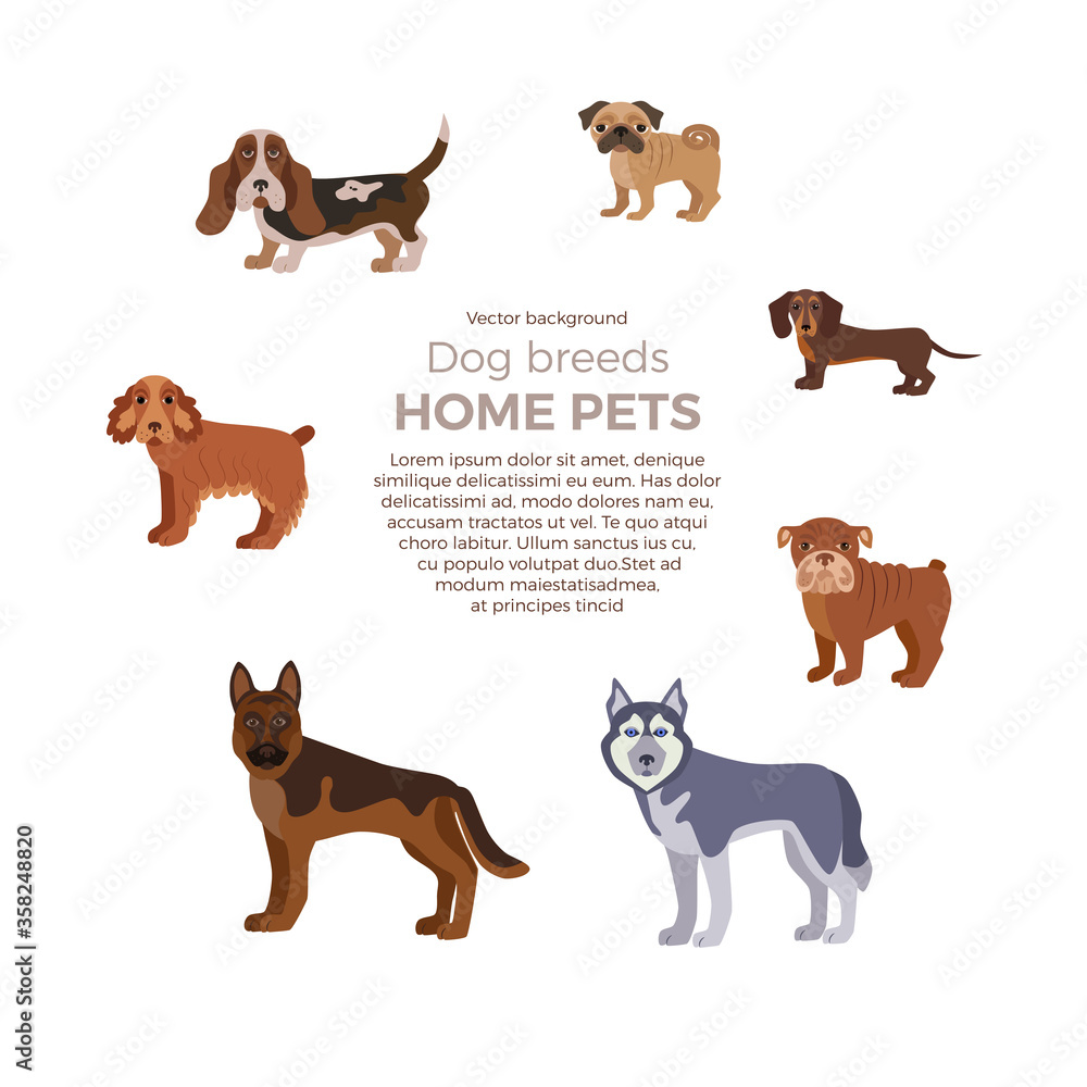 Fototapeta premium Dog breed silhouette