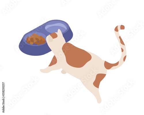 Hungry cute cat eating feed and drink water vector isometric illustration. Funny spotted domestic animal having meal isolated on white background. Feline with tail approaching to bowl enjoying food