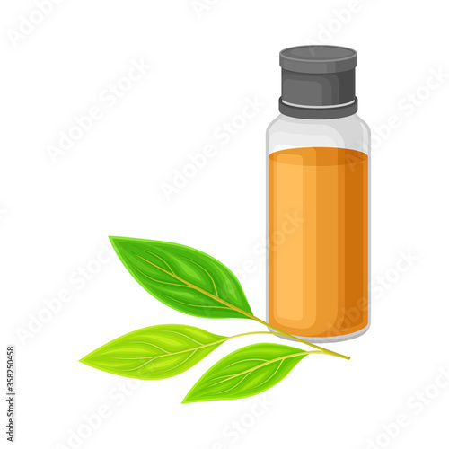 Glass Bottle with Essential Oil of Sandalwood and Leafy Tree Branch Rested Nearby Vector Illustration
