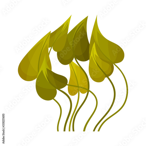 Green Seaweed as Multicellular Marine Algae Vector Illustration