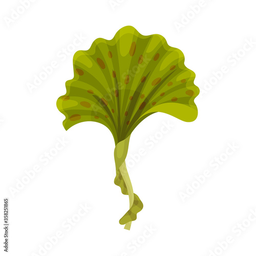 Green Seaweed as Multicellular Marine Algae Vector Illustration