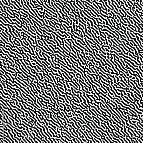Black and white turing pattern. Geometric pattern © Evgeniya Vasileva