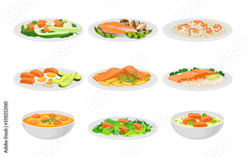 Salmon Dishes Served with Vegetables and Rice Vector Set