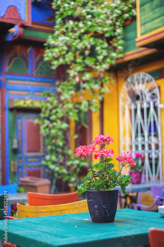 Colorful interior of cafe at a garden © Irina Lepneva