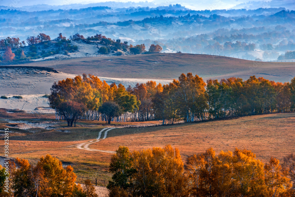 Autumn grazing scenery on Bashang Grassland in Wulanbutong