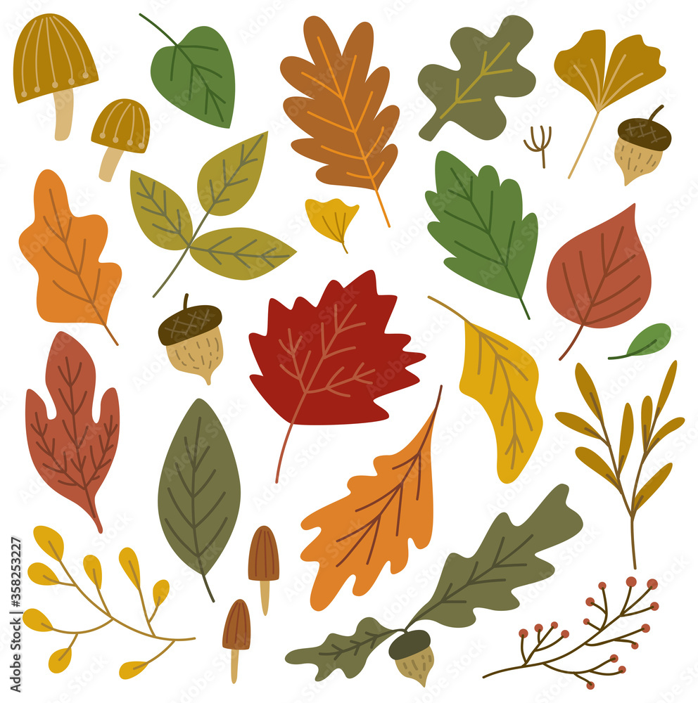Fototapeta premium Set of autumn leaves design elements