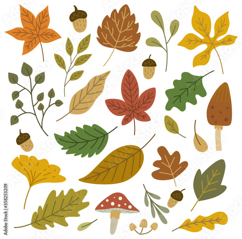 Set of autumn leaves design elements