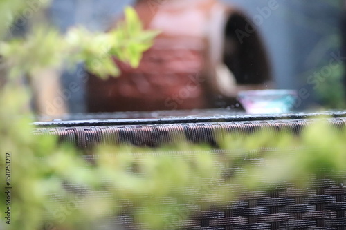 raining in the garden