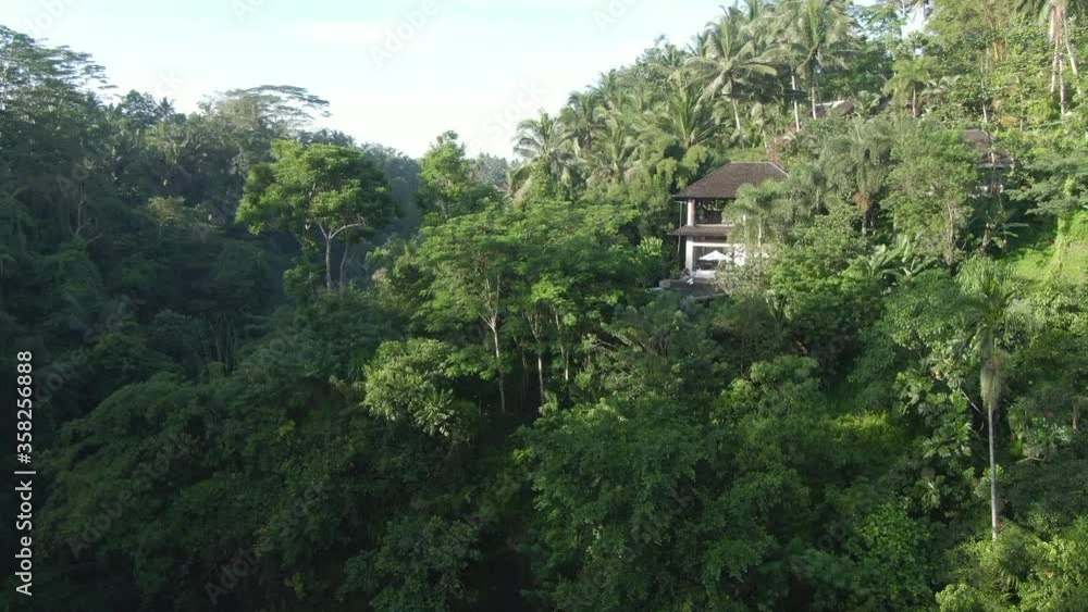 Drone flies through Bali Ubud jungle to reveal a hidden house Drone flies through Bali Ubud jungle to reveal a hidden house