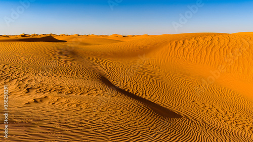Dunes of the Sahara desert
