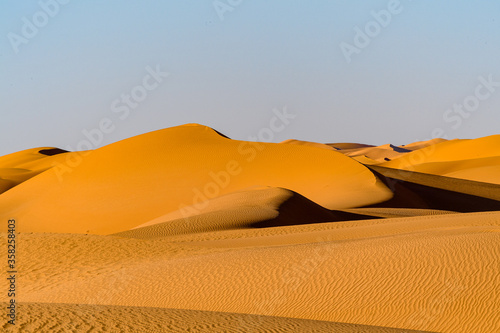 Dunes of the Sahara desert