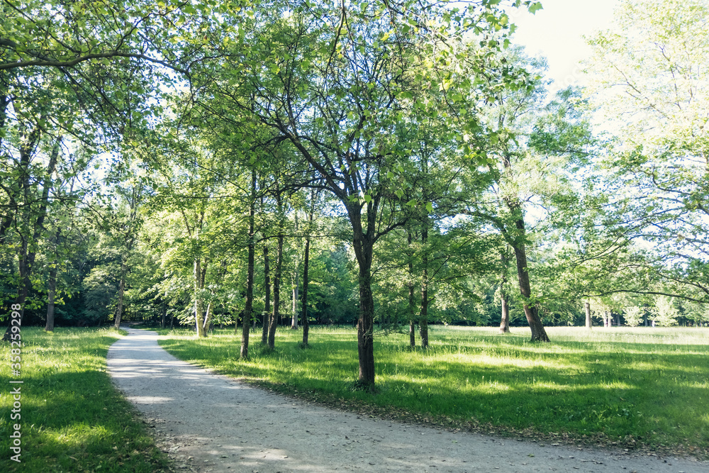 Sunny meadows with deciduous trees