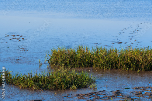 Das Wattenmeer der Nordsee vor Burhave/Deutschland bei Ebbe