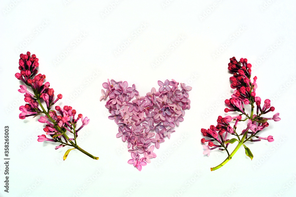 Fototapeta premium Heart and Twigs of Lilac