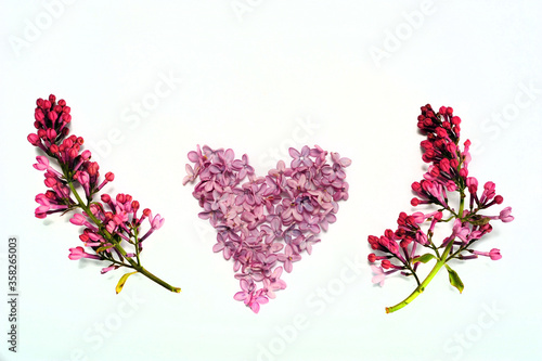 Fototapeta Naklejka Na Ścianę i Meble -  Heart and Twigs of Lilac