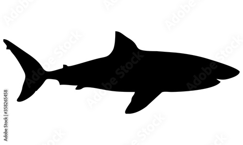 shark silhouette isolated on white