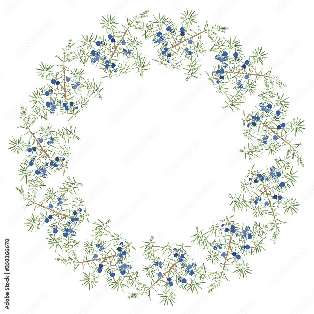 Round vector frame with juniper on white. Illustration with place for text, can be used creating card, menu or invitation card.