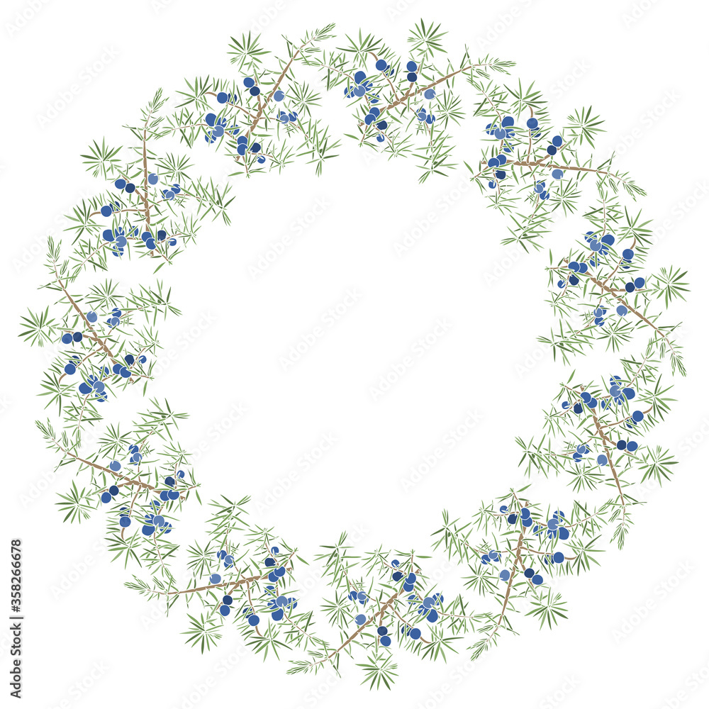 Naklejka premium Round vector frame with juniper on white. Illustration with place for text, can be used creating card, menu or invitation card.