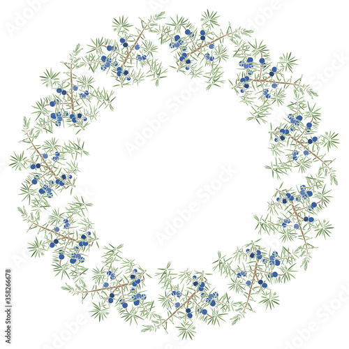 Round vector frame with juniper on white. Illustration with place for text, can be used creating card, menu or invitation card.