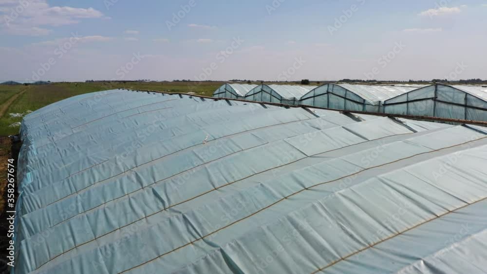 Greenhouse with vegetables, a frame with drone Greenhouse with vegetables, a frame with drone