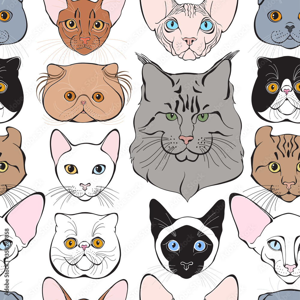 Fototapeta premium Seamless pattern with cats of different breeds. Hand-drawn vector illustration on white. Animal art background.