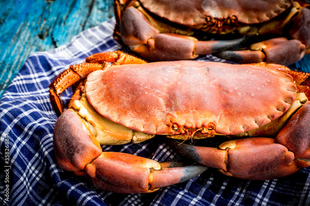 Big crab, sea ox, rustic background, Big crab, sea ox, rustic background,