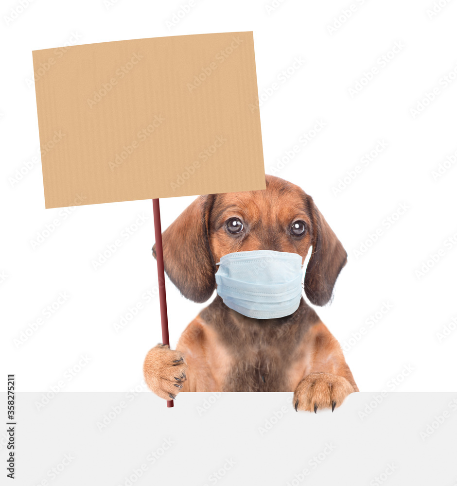 Are Dachshunds Protective